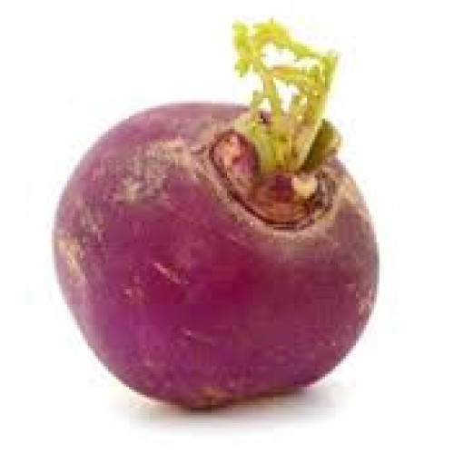 Turnip